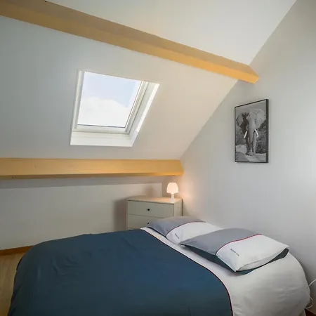 Le Duplex Pasteur - 5 Min Hypercentre - Ideal Groupe Apartment Troyes