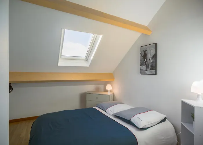 Le Duplex Pasteur - 5 Min Hypercentre - Ideal Groupe Appartement Troyes