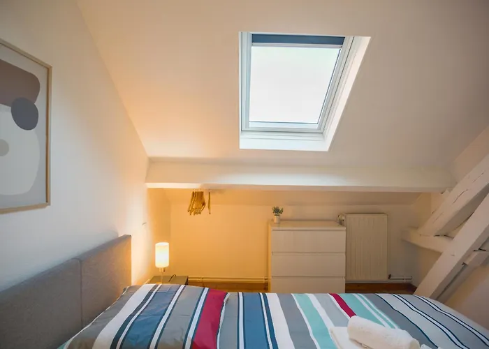 Le Duplex Pasteur - 5 Min Hypercentre - Ideal Groupe * Troyes