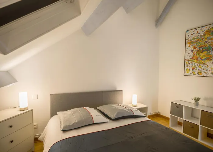 Le Duplex Pasteur - 5 Min Hypercentre - Ideal Groupe